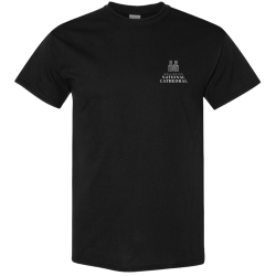 PRIDE ADULT SHORT SLEEVE